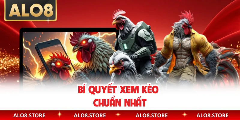 Bí quyết xem kèo chuẩn nhất