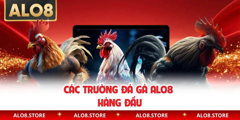 Các trường đá gà ALO8 hàng đầu