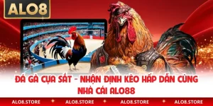 Đá Gà Cựa Sắt - Nhận Định Kèo Hấp Dẫn Cùng Nhà Cái ALO88