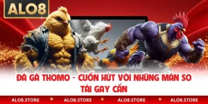 Đá Gà Thomo - Cuốn Hút Với Những Màn So Tài Gay Cấn