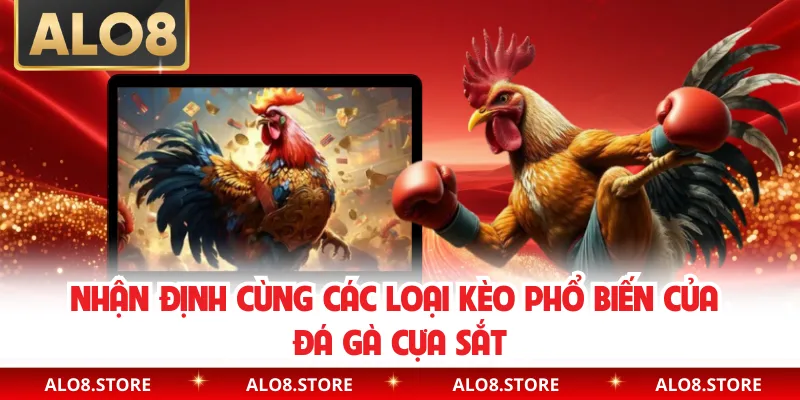 Nhận định cùng các loại kèo phổ biến của đá gà cựa sắt
