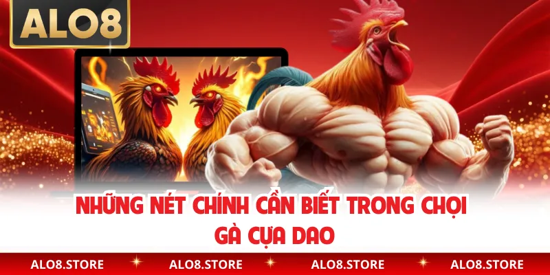 Những nét chính cần biết trong chọi gà cựa dao