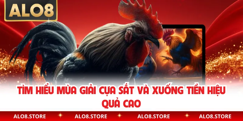 Tìm hiểu mùa giải cựa sắt và xuống tiền hiệu quả cao